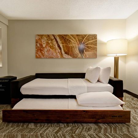 Springhill Suites By Marriott Atlanta Кеннесо Экстерьер фото